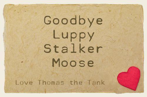 Goodbye Luppy Stalker Moose