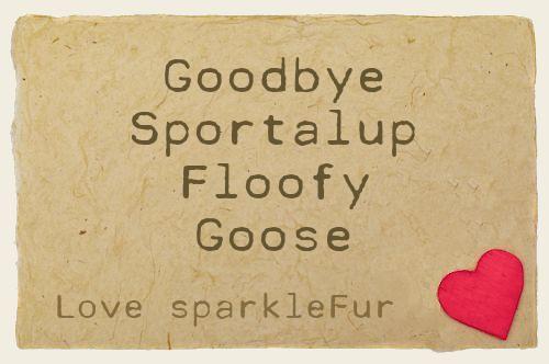 Goodbye Sportalup Floofy Goose