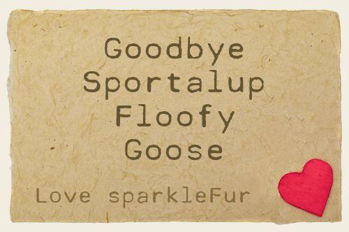 Goodbye Sportalup Floofy Goose